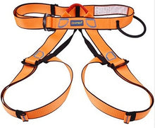 Load image into Gallery viewer, PRO Climbing Harness
