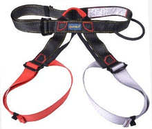 Load image into Gallery viewer, PRO Climbing Harness